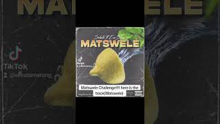 Matswele Sebata ft EvaBlaze ProducEd by Sifu [upl. by Moreno842]