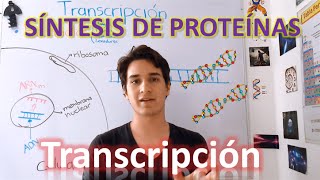 Transcripción Síntesis de proteínas nivel elevado EN 7 MINUTOS [upl. by Dallas]