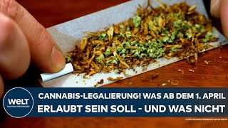 DEUTSCHLAND CannabisLegalisierung Was ab 1 April erlaubt sein soll – und was nicht [upl. by Donahoe]