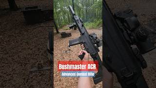 Bushmaster ACR  556mm Advanced Combat Rifle [upl. by Ahteres]