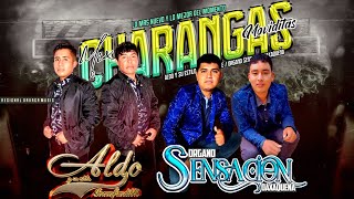 Aldo Y Su Estilo Inconfundible ft Organo Sensacion Oaxaqueña Mix De Charanga Moviditas Lo Más Nuevo [upl. by Georgeanna593]