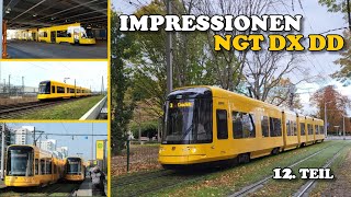 Straßenbahn Dresden  NGT DX DD Impressionen im Liniendienst Teil 12 [upl. by Ecinnahs]