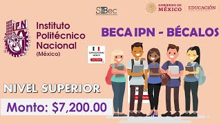 BECA IPNBÉCALOS 2022  Convocatoria  Requisitos Documentación REGISTRO  Becas México [upl. by Ecnaralc]