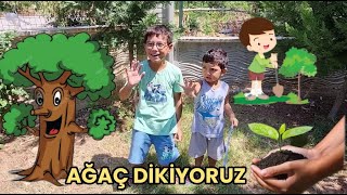 AYAZ VE POYRAZDAN DOĞAYA ARMAĞAN 🌳🌲Zeytin Ağacı Diktik 🌳 [upl. by Eelak]