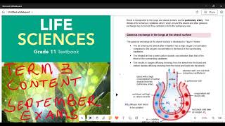 Life Sciences Grade 11 Gaseous exchange in the lungsMATRICNATEDSPECIALIST [upl. by Jo-Ann676]