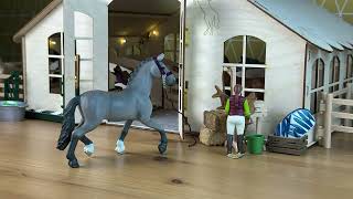 Schleich toy horses and ponnies Stop motion adventures [upl. by Yhtur]