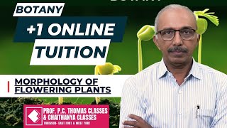 1 ONLINE REGULAR TUITION  BOTANY MORPHOLOGY OF FLOWERING PLANTS SESSION 3 [upl. by Servais]