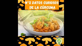 shorts Datos Curiosos De La Curcuma N2 curcuma especies [upl. by Meris]