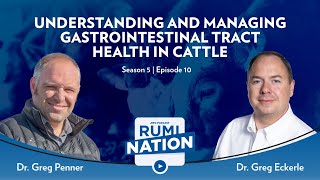 S5E10  Understanding and Managing Gastrointestinal Tract Health in Cattle with Dr Greg Penner [upl. by Encratia]