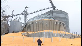 Arcola Grain Bin Collapse [upl. by Uphemia]