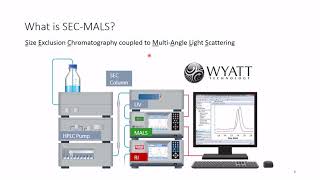 Understanding Absolute Stoichiometry of Oligomeric Protein Complexes Using SECMALS [upl. by Nongim]