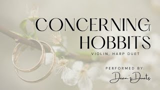 Concerning Hobbits  violin harp duet [upl. by Anib]