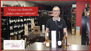 Vinos con Botrytis ¿Qué son y cómo se elaboran [upl. by Willy]