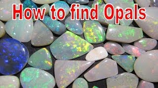 How to find Opals  Coober Pedy  Liz Kreate [upl. by Ardnuasac]