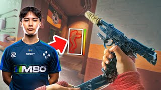 I played with SPOITS quotAIMBOTquot  BEST PRO SETTINGS   Rainbow Six Siege Gameplay [upl. by Gregrory]