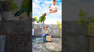 Flying crying babies Catching vs frog parrot amp goat vs yellow lizard  Funny vfx magic 😄 [upl. by Nadeau]