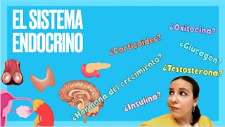 El sistema endocrino y las hormonas  BioESOsfera [upl. by Om]