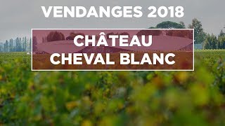 CHEVAL BLANC  VENDANGES 2018  REPORTAGE  MILLESIMA [upl. by Charron]