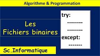 Algorithme et programmation  Les fichiers binaires  BAC INFO [upl. by Marley]