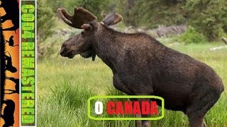 O CANADA FINNTROLL 1984S BEASTS OF THE WILD 37 ANIMAL OVERDOSE COD4 MW REMASTERED [upl. by Nnewg]