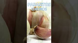 Parásitos intestinales oxiuros ¿Cómo eliminarlos parasitos niñossaludables remedioscaseros [upl. by Yelad]