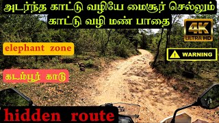 அடர்ந்த காடுகள் வழியே மைசூர் செல்லும் காட்டு வழி மண் பாதைelephant zoneriver crossingskadambur [upl. by Ewolram]