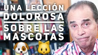 Episodio 1581 Una Lección Dolorosa Sobre Las Mascotas [upl. by Aneleiram738]