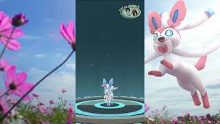 Pokémon Go  Come evolvere Eevee in Sylveon HD [upl. by Hilel]