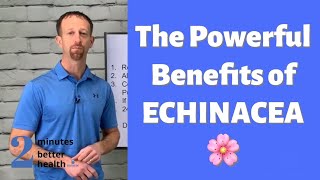 The Powerful Benefits of Echinacea  2 Minutes to Better Health [upl. by Ahsiener]