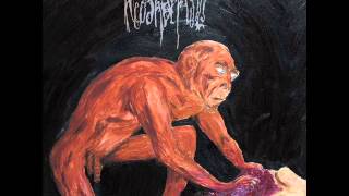 Neoandertals  Ebu Gogo Gutting The Child Full Album [upl. by Nodnarg]