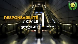 La responsabilité civile  Séance n° 2 Fondements et fonctions de la responsabilité civile S3 [upl. by Audra757]