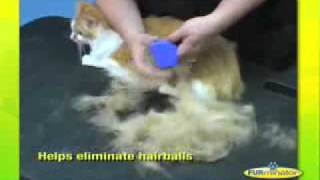 FURMINATOR DEMONSTRATION [upl. by Ahselat]