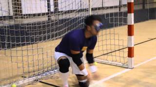 Entrenamiento Porteros Futsal Futbol Sala Fs de Pepe Llinares Coordinación y Reflejos [upl. by Anertac]