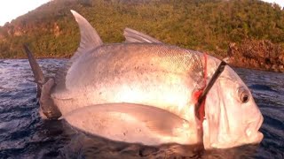 SPEARFISHING PHILIPPINES  GREAT TREVALLY  ASSORTED QUALITY FISH [upl. by Anoblav]