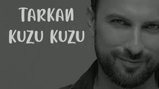 Tarkan  Kuzu Kuzu  Karaoke [upl. by Corsiglia516]