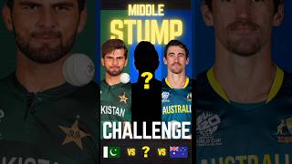 AFRIDI 🆚 STARC 🆚 WILD CARD  Only middle stump challenge shorts [upl. by Yeltneb]