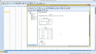 SPSS  Conjoint Analysis [upl. by Siletotsira]