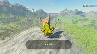 Korok seeds  North of Finra Woods  Lake Tower 55  Zelda BOTW [upl. by Harwin]