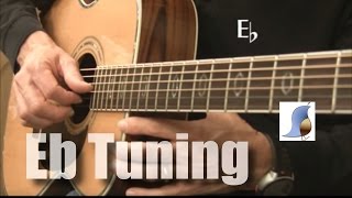 E flat tuning 12 step down for Guitar [upl. by Litsyrk247]