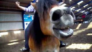 Draft horse Kim  Bloopers amp Out Takes [upl. by Nedrud]