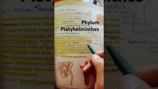 Phylum PlatyhelminthesNEET Biology biology shortsvideo [upl. by Teik]