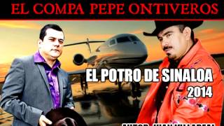 EL POTRO DE SINALOA COMPA PEPE ONTIVEROS [upl. by Joacima]