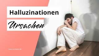 Halluzinationen Ursachen Symptome und Beispiele [upl. by Annunciata791]