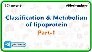 Chapter 6  Lipids  Classification amp Metabolism Of lipoprotein Part 5  Hindi [upl. by Stickney685]