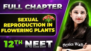 Sexual Reproduction Flowering Plants FULL CHAPTER  Class 12th Botany  Lakshya NEET [upl. by Kari610]