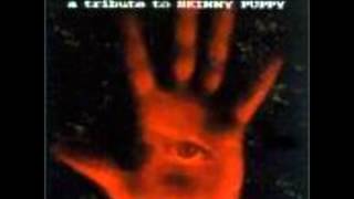 Leaether Strip  Testure Skinny Puppy Cover [upl. by Fanchet818]