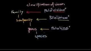 2 Classification of viruses [upl. by Connolly]