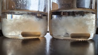 How to make easy Instant Pot liquid culture for mushroom cultivation [upl. by Oatis640]