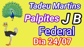 PALPITES DO JB  DIA 24 DE JULHO Canal Tadeu martins [upl. by Olnek233]