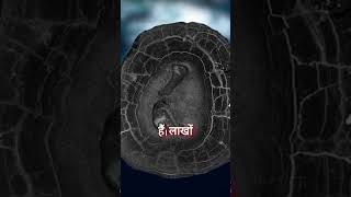 डार्क ऑक्सीजन 🌑 क्या है Dark Oxygen 🤔 [upl. by Golanka53]